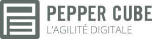 Pepper Cube - Agence